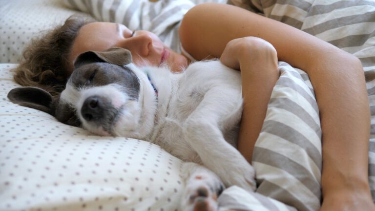 Faz mal dormir com meu pet? Descubra benefícios e cuidados