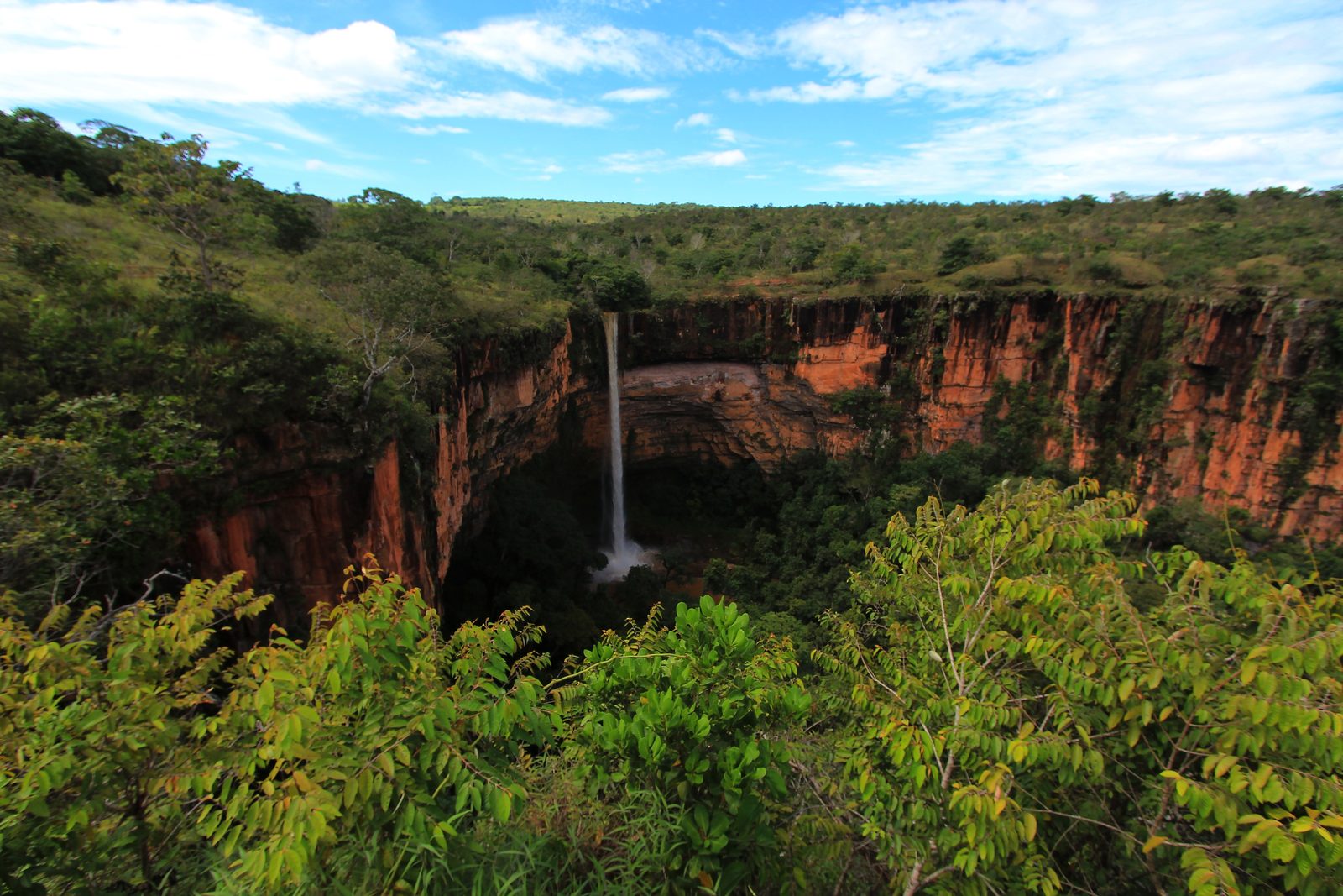 Mato Grosso