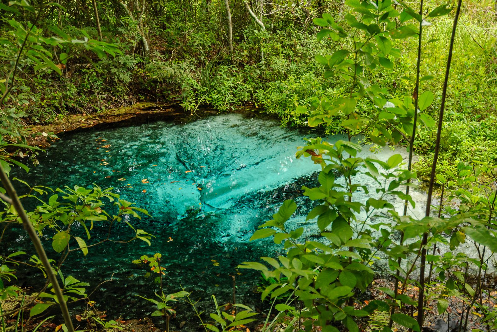 Mato Grosso do Sul