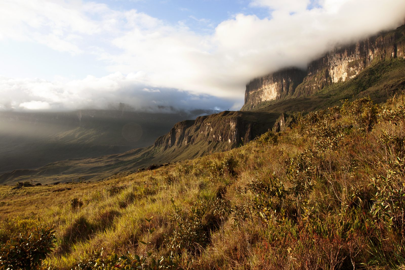 Roraima